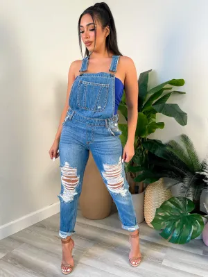 Vivian Distress Overalls